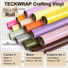 TECKWRAP Permanent Adhesive Vinyl 12" x 10ft, Glossy Beige Cream