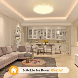 Ceiling Light LED Ceiling Light Flat Lamp Diameter 30 cm 24 W 3000 K 2400 LM Warm White LED Ceiling Lamp Living Room Ultra Thin LED Lamp Ceiling for Kitchen Bedroom Bathroom Children's Room Hallway