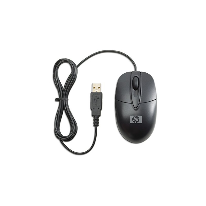 RH304AA HP USB Optical Travel Mouse
