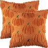 Bunliuys Pumpkin Spring Decorative Pillow Covers 20x20 Set of 2