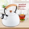 Florina Induction Kettle, Whistling Kettle, Stainless Steel, Silver, 2.3 L