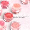 Color Nymph Powder Blusher, Face Blush Mushroom Air Cushion Micro-Shimmer