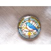 GLASS DOME PICTURE "STAINED GLASS " BUTTON OF A PRETTY