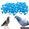 EIHI Pack of 100 8 mm Multicoloured Aluminium Pigeon Leg