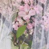 Mosquito Net, Large Outdoor Four Corners Enhanced Mosquito Net Indoor