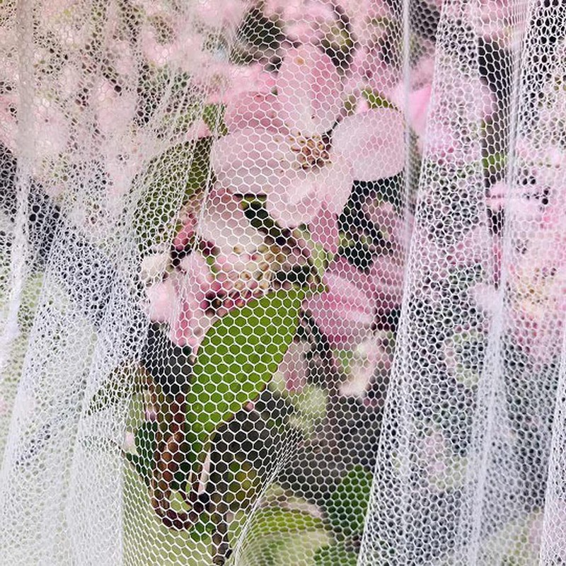 Mosquito Net, Large Outdoor Four Corners Enhanced Mosquito Net Indoor