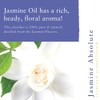 Absolute Aromas Jasmine Essential Oil, 2 ml