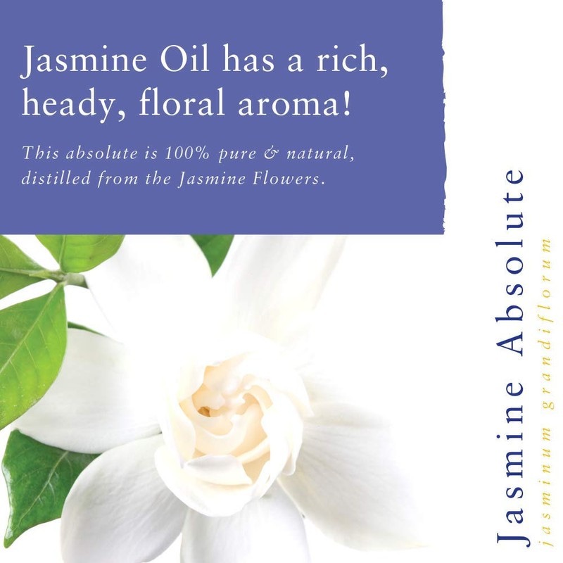 Absolute Aromas Jasmine Essential Oil, 2 ml