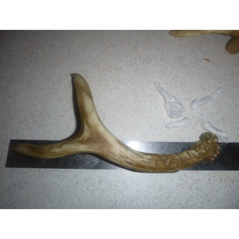 Wind River Set of 2 Cabin Lodge 9 1/4" Faux