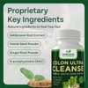 Colon Cleanse - Natural Solution to Colon Health - Natural
