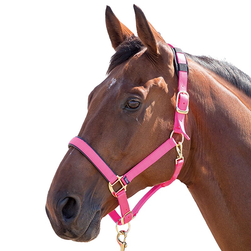 Shires Topaz Nylon Pony/Horse Headcollar - Purple XXS Pony
