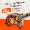 Rawz Real Rabbit Dry Food for Cats with Freeze Dried