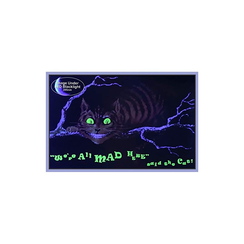 Studio B We are All Mad Here Poster