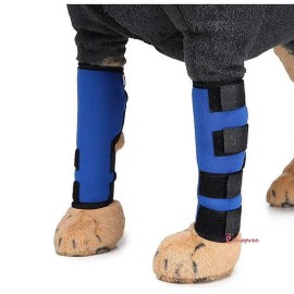 Fitness Accessory Brace Support Set Pack 2 Pack for home workouts, training and recovery, portable sports and exercise, Option 4