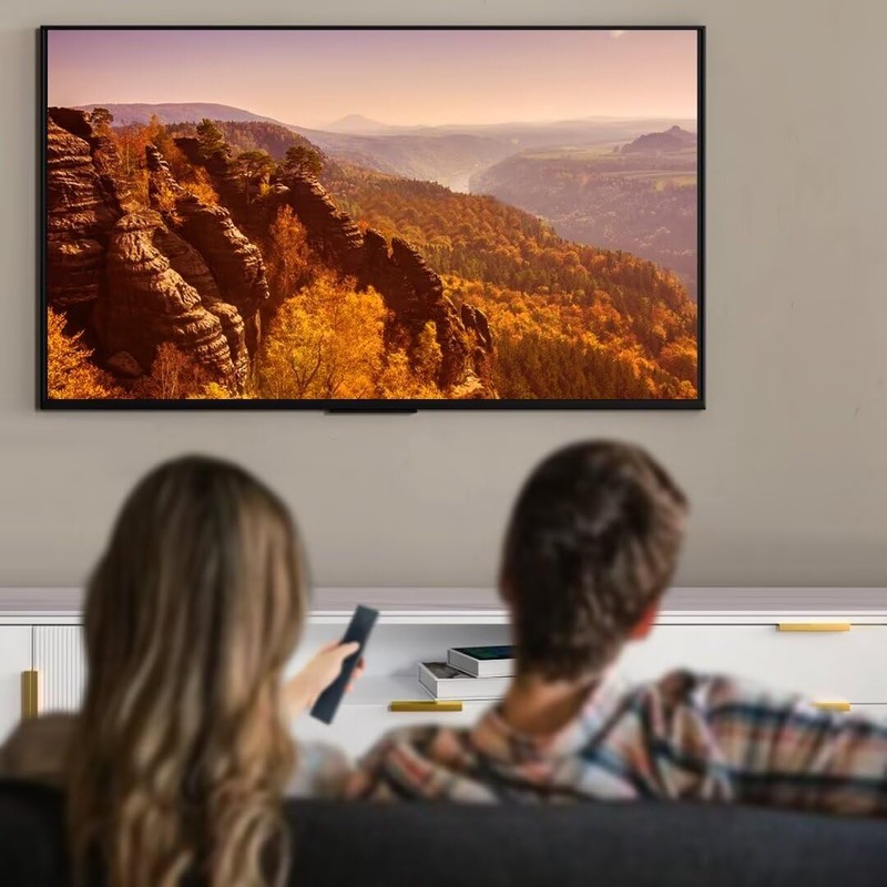 AULCMEET XRT132 Replace Remote Control Compatible with VIZIO Smart LED