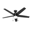 Hunter Fan Company 52491 Bardot Ceiling Fan, Matte Black