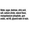 Gatorade Thirst Quencher, Fruit Punch, 20 Ounce Bottles (Pack of