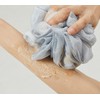 플루 시그니처 바디스크럽 젠틀 포레스트, 215g, 6개 Flu Signature Body