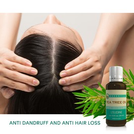 L’EUDINE Tea Tree Oil – 1fl Oz Multipurpose Body Oil for Acne, Toenail Problems, Dandruff, Skin Bites, Lice – Made in USA – All-Natural and Safe Essential Oil – Refreshing on Clothes, Cleaning