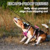 PUPTECK Escape Proof Dog Harness with Padded Handle, No Pull