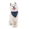Fred DOG BANDANA, Navy