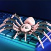Spider Toy | Funny Spider Animal Model with Flexible Joints