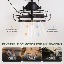 SPACORA 21" Wall Mount Fan with Remote/App Control, 6 Speed Wall Mounted Fan with LED Light, Timer, 360° Adjustable Tilt Plug in Wall Mounted Fans Indoor for Bedroom, Patios, Shop, Corner, Greenhouse