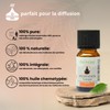 Meditation Synergy Essential Oil (10 ml)