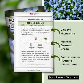 Sow Right Seeds - Forget-Me-Not Flower Seeds for Planting (Cynoglossum amabile) - Non-GMO Heirloom Packet with Instructions - Great to Pair with Cards of Remembrance - Small Blue Memory Blooms (2)