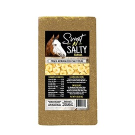 Sweet N Salty Banana Flavored Salt Treat Brick for Horses, 4 lb