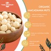 Sussex Wholefoods Organic Macadamia Nuts 500g: Premium Quality, Nutrient-Rich Superfood!