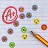900 Colourful Teddy Bears Mini Dot 10mm Spot Reward Stickers