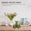 Ciieeo 5-Piece Easter Bunny Decoration Set, Realistic Bunny Figures for