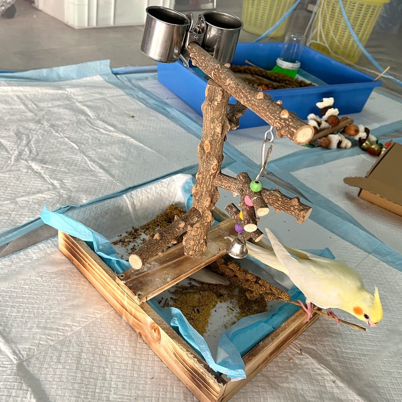 LIMIO Natural Wood Bird Toys Playground, Bird Cage Accessories, Bird