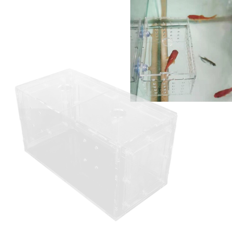 Fish Breeding Isolation Box Transparent Mesh Side Fish Tank Incubator