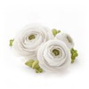 Satin Ice Gum Paste for Cake Decorating, White (4.4 Ounce)
