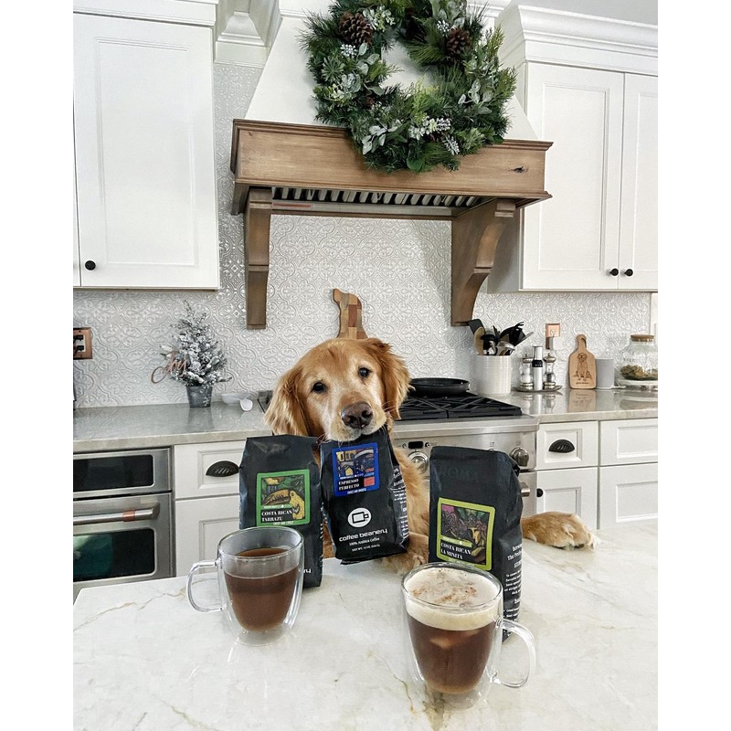 Costa Rican La Minita Specialty Coffee | (1)12oz. Coffee -