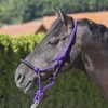 USG 15050024 Knot Headcollar Braided Noseband with Rhinestones Purple Shetty/Pony