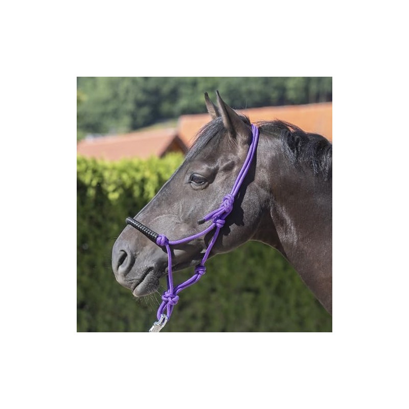 USG 15050024 Knot Headcollar Braided Noseband with Rhinestones Purple Shetty/Pony