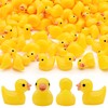 Yuronam 70 Pcs Tiny Ducks Mini Resin Ducks Miniature Ornaments
