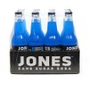 Jones Soda Co. Blue Bubblegum Flavor | 12-Pack | The