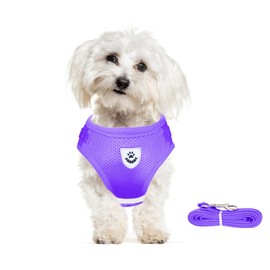meioro No Pull Dog Harness,Reflective Adjustable Step-in Puppy Vest Harnesses with Soft Padded Mesh and Leash,Lightweight Escape Proof Pet Harness for Small Medium Dogs Cats (X-Small, Purple)