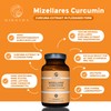 QIDOSHA® Novasol® Curcumin Liquid, 120 Capsules in Pharmacist Glass, 500