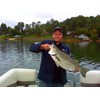 7" RF Glider Glide Bait Bass Musky Striper Fishing Big