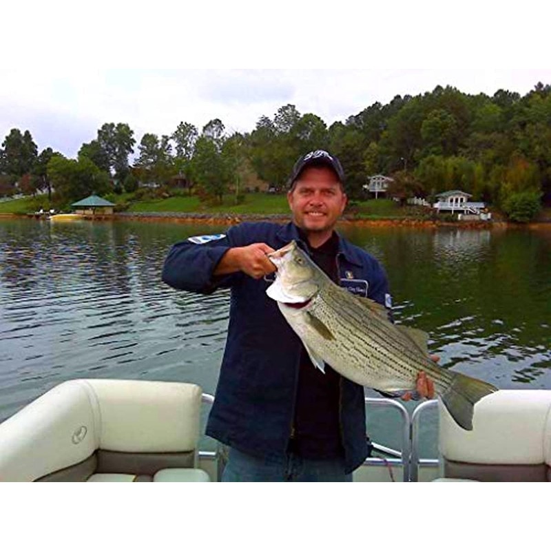 7" RF Glider Glide Bait Bass Musky Striper Fishing Big