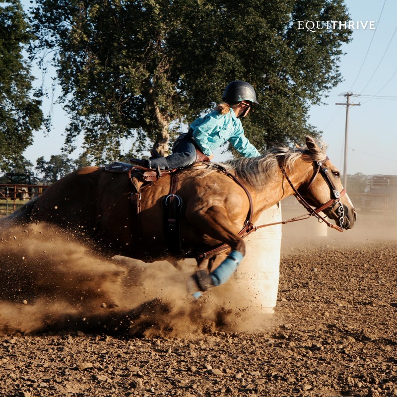 Equithrive Horse Electrolyte Pellets, Vitamins and Minerals Supplement, Equine Feed