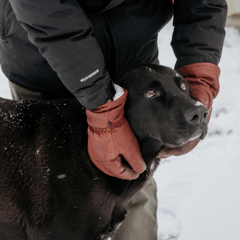 Watson Gloves Full-Grain Leather Winter Lined Ranch Gloves - Crazy
