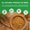 Jiva Organic Fenugreek Seeds 7 Ounce – Non-GMO, Gluten Free,