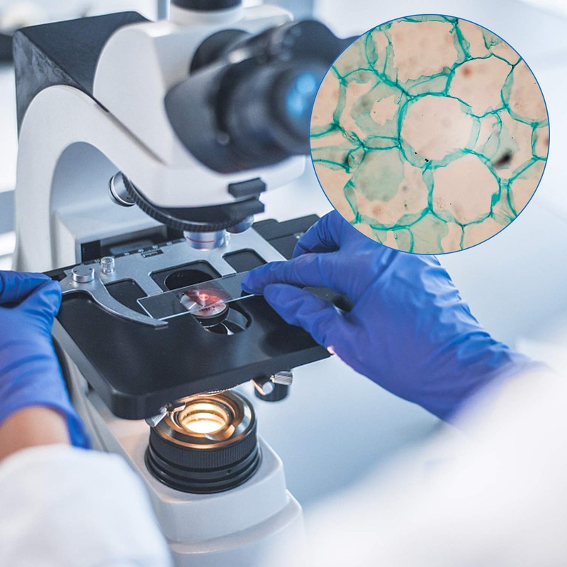 100 PCS High Quality Chamfered Pre-Cleaned Microscope Slides and Ground