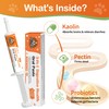 Antidiarrheal for Dogs - Kaolin Pectin Probiotic Paste for Dog,
